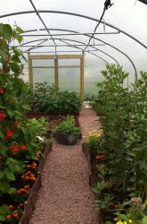 The Polytunnel