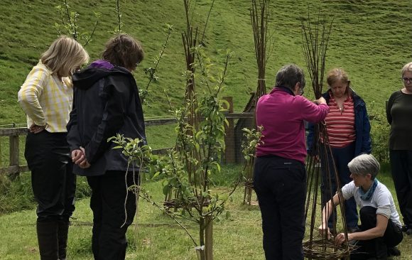 Making Willow Plant Supports | 7 May 2022 |