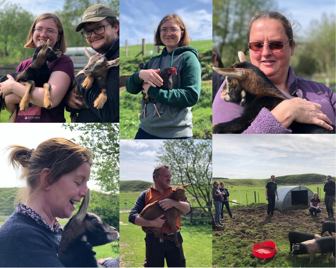 A beautiful day for our first ‘A Beginner’s Guide to Organic Smallholding’ course of 2022. What a brilliant and enthusiastic group. It’s been a total pleasure.  #smallholding #smallholdingcourses #smallholdinglife #learningtogether #handsonlearning