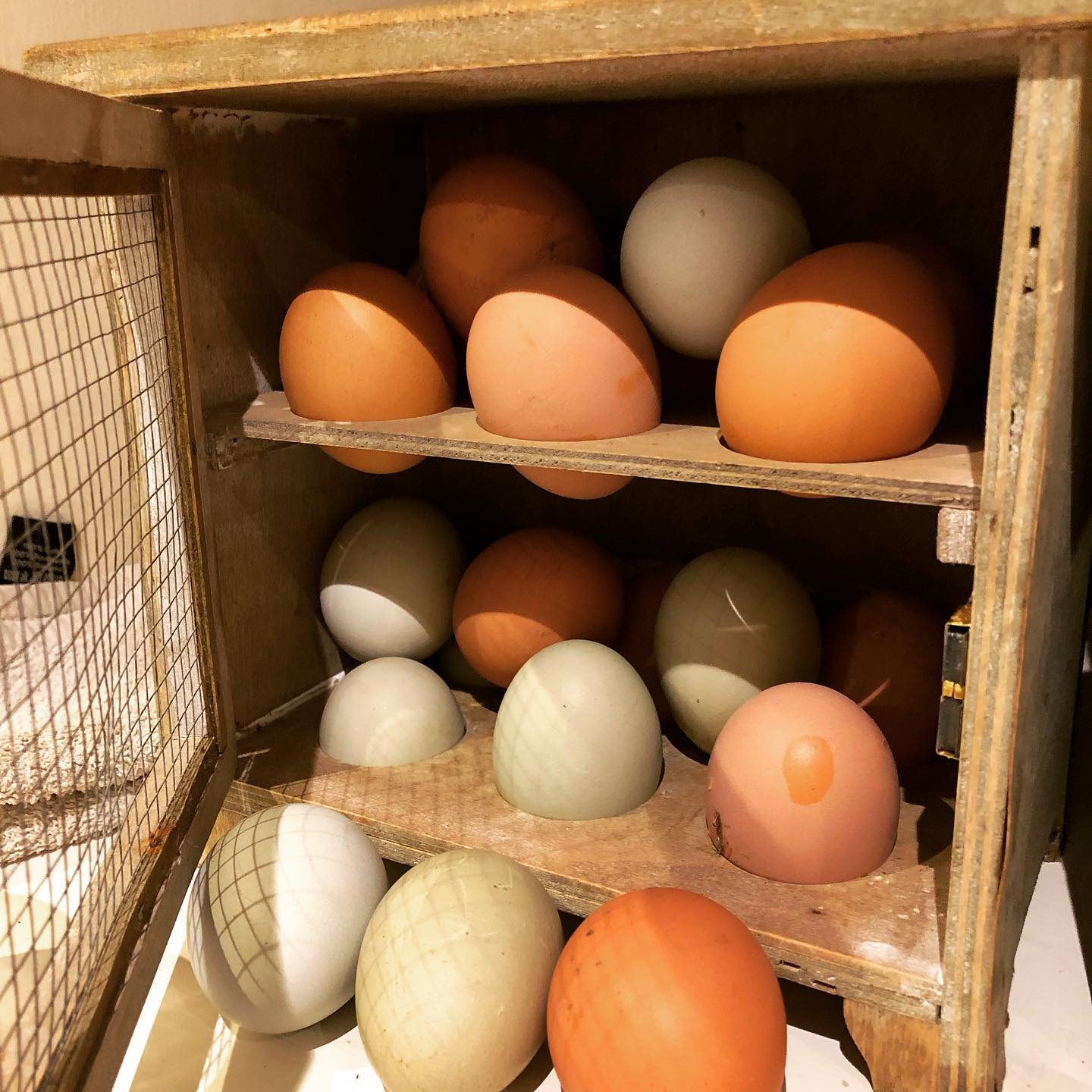 We haven’t been awash with eggs for ages but now the new hens are laying well so we have lots of yummy, deep yellow yolked organic eggs. #thelintmill #organic #happyhens #layers