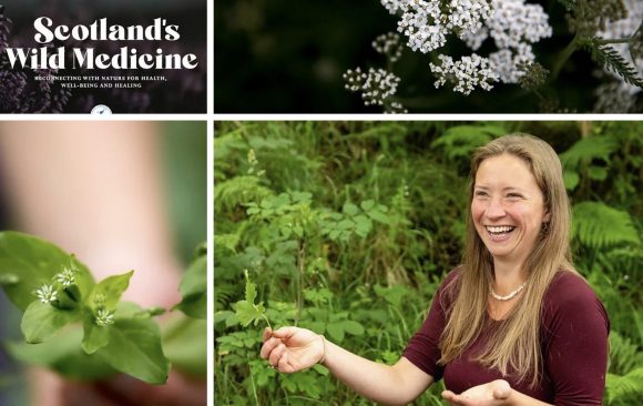Foraging Course with Clare Holohan of West Highland Herbal |  2024 dates tbc