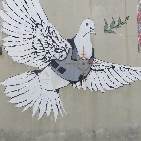 Banksys-Armoured-Dove-of-Peace-on-the-side-of-a-Palestinian-house-near-to-the